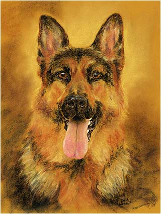 German Shepherd