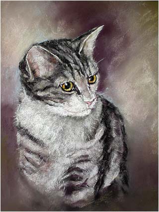 Kitten