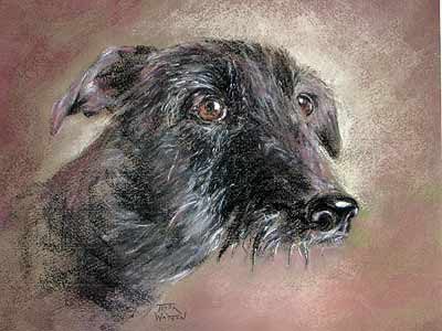 Lurcher