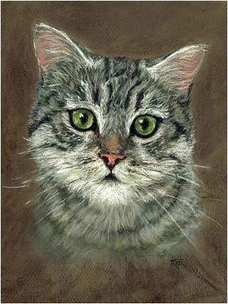 Mrs Chippy
