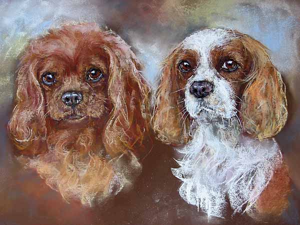 Rusty and Sammy