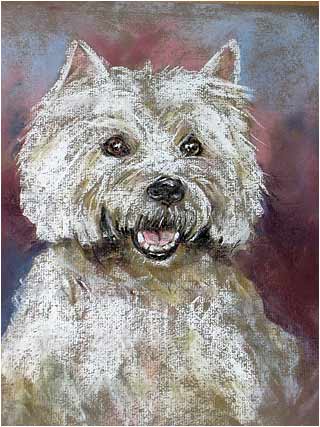 Westie