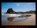 Great holiday photographs
