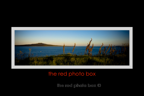 narrowneck beach