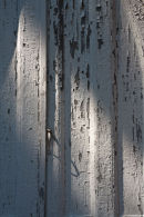 Church Door