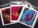 Photo Greetings Cards (13 x 13cm)