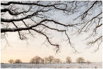 veluwe - deelerwoud