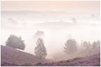 veluwe  -  posbank
