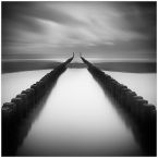 groynes - study 1