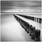groynes - study 2