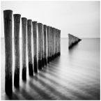 groynes - study 4
