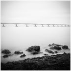 zeelandbridge - study 4