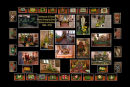 Welshpool & District Flower Arranging Society Golden Anniversary