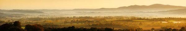 Misty dawn