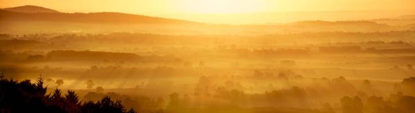 Misty Sunrise