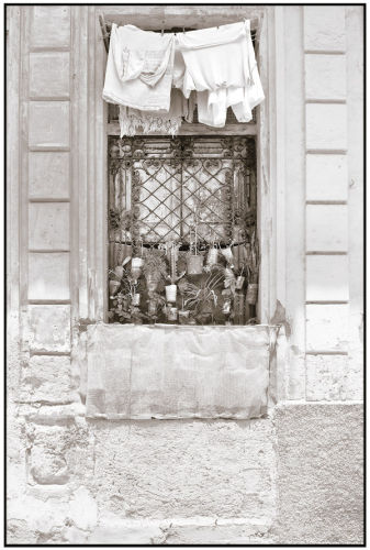Window garden and washing line