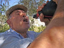 Vendimia 2006
